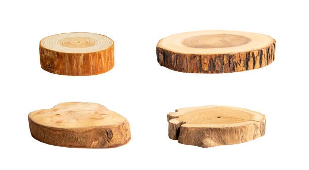 Knowledge about Various Wood Material